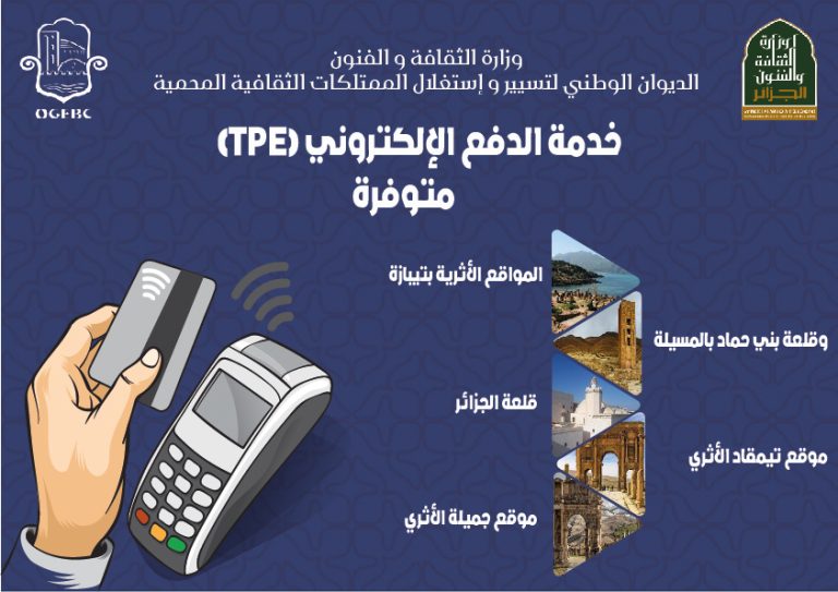 خدمة الدفع الإلكتروني (TPE)